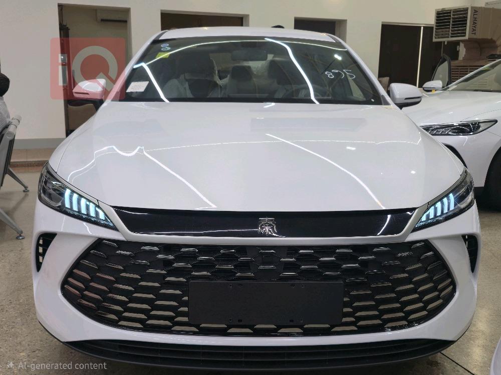 بی وای دی Qin Plus